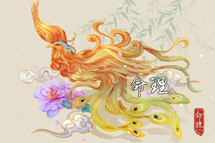 排盘紫薇 在线紫微 八字基本命盘查询 双人合盘详解紫微 问真紫微斗数排盘 新浪紫薇命盘